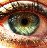 colourful Eye by AlinaGorn