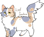 Leafshadow by Hollyleafthewarriorc