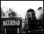Seguridad by levhita