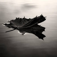 Floating or Falling by Zemni