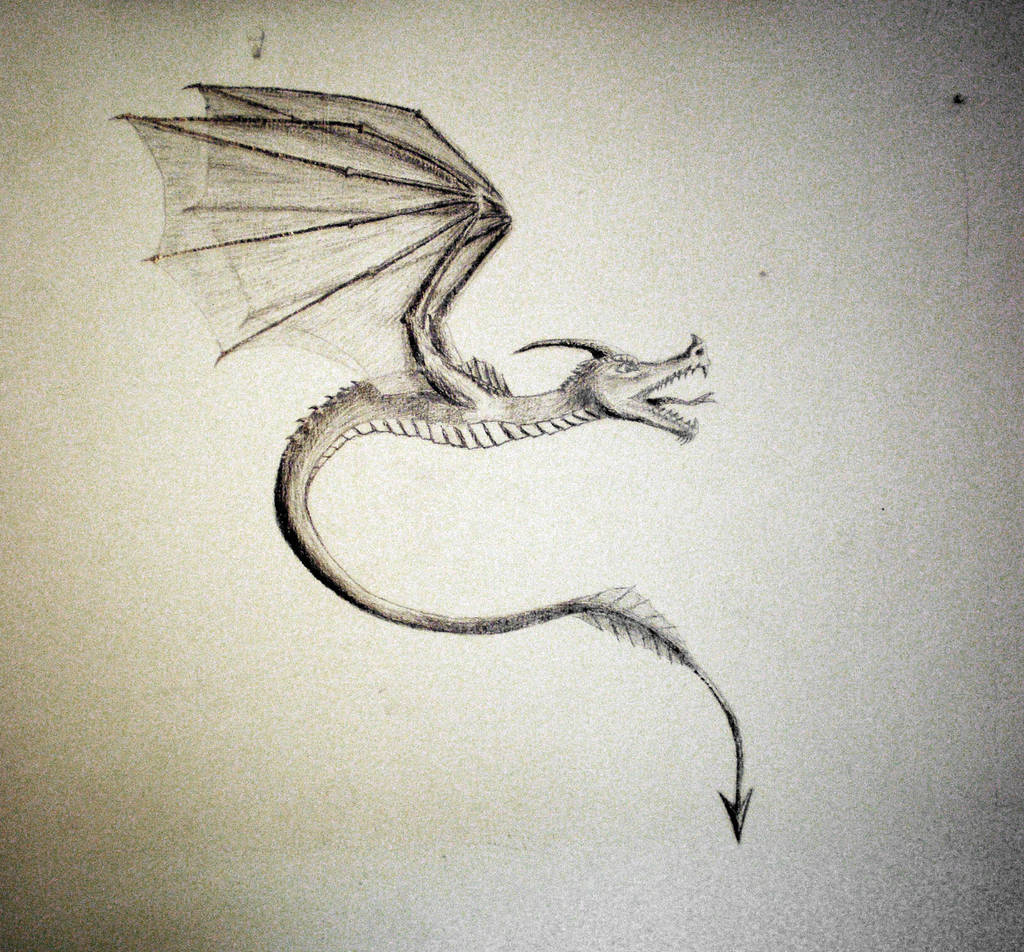 Dragon by Drahoslav7