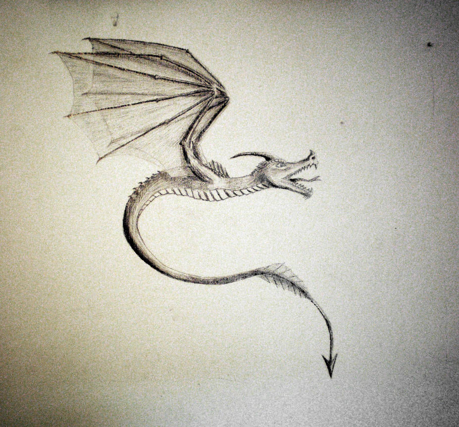 Dragon by Drahoslav7