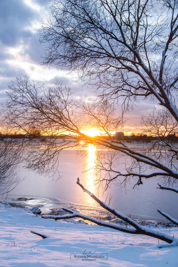 Frosty December evening by AndrewMankevich
