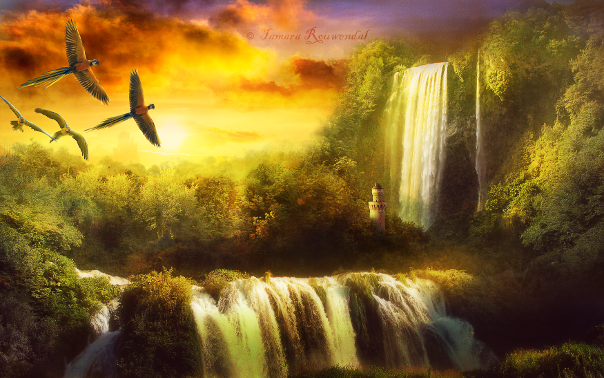 Paradise by tamaraR Paradise by tamaraR