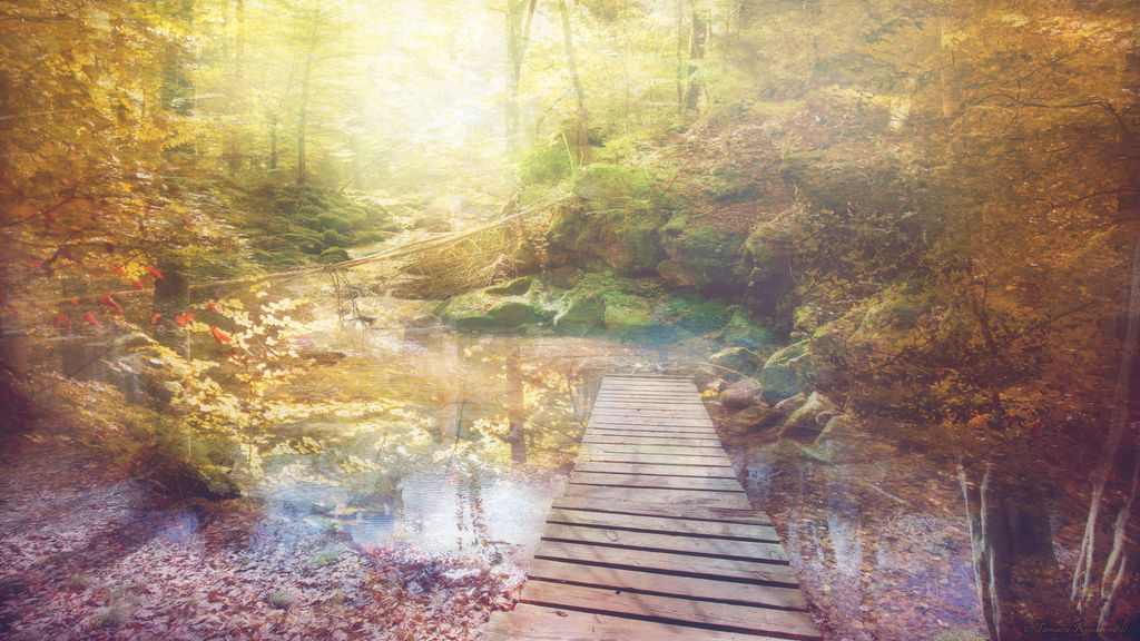 Woodlands Wallpaper by tamaraR Woodlands Wallpaper by tamaraR