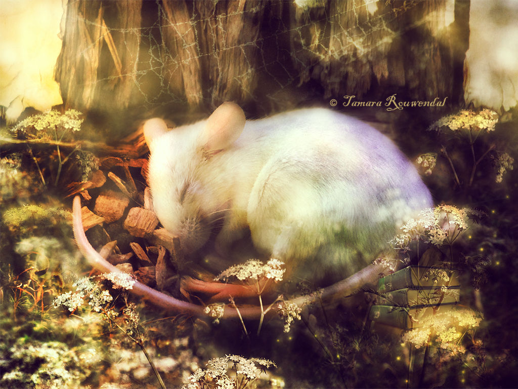 Little Summer Sunshine by tamaraR Little Summer Sunshine by tamaraR