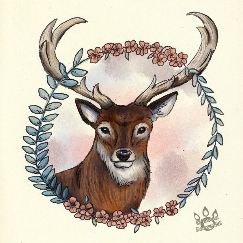 The Deer and The Wild Flowers by tamaraR
