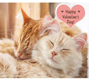 Valentine Pip and Bink by tamaraR Valentine Pip and Bink by tamaraR