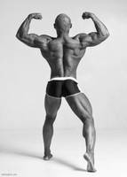 Stone Magnet by vishstudio