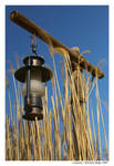Lantern by pshope