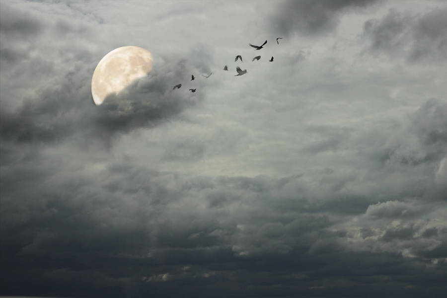 Stormy sky background by firesign24-7