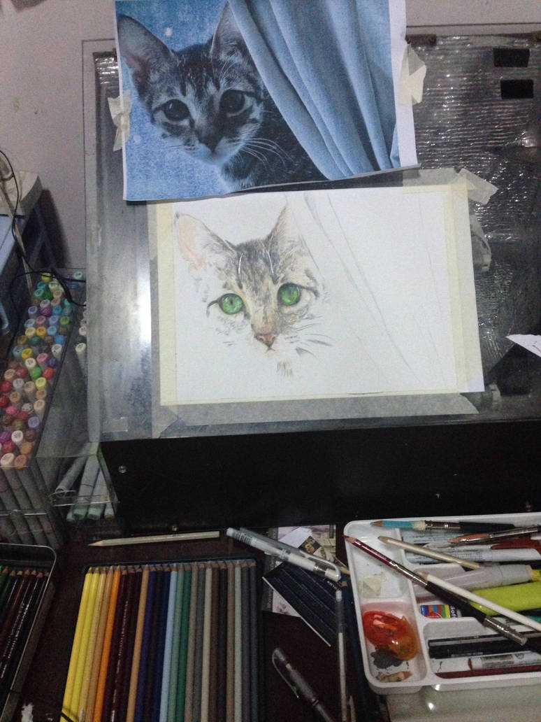 catwip by littlemissmarikit catwip by littlemissmarikit