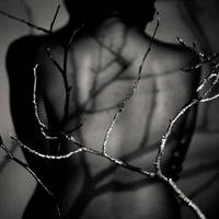 winter is back by sivel12001