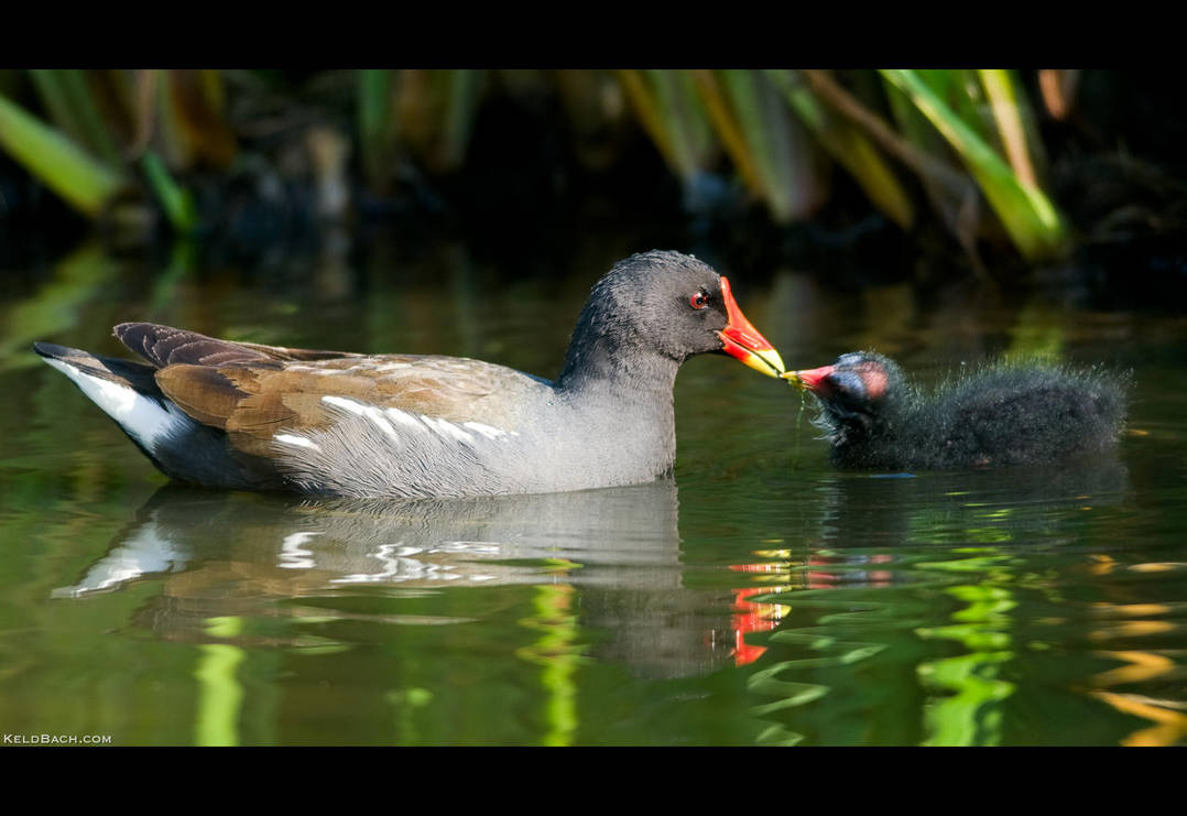 With a Little Help from My Mom by KeldBach