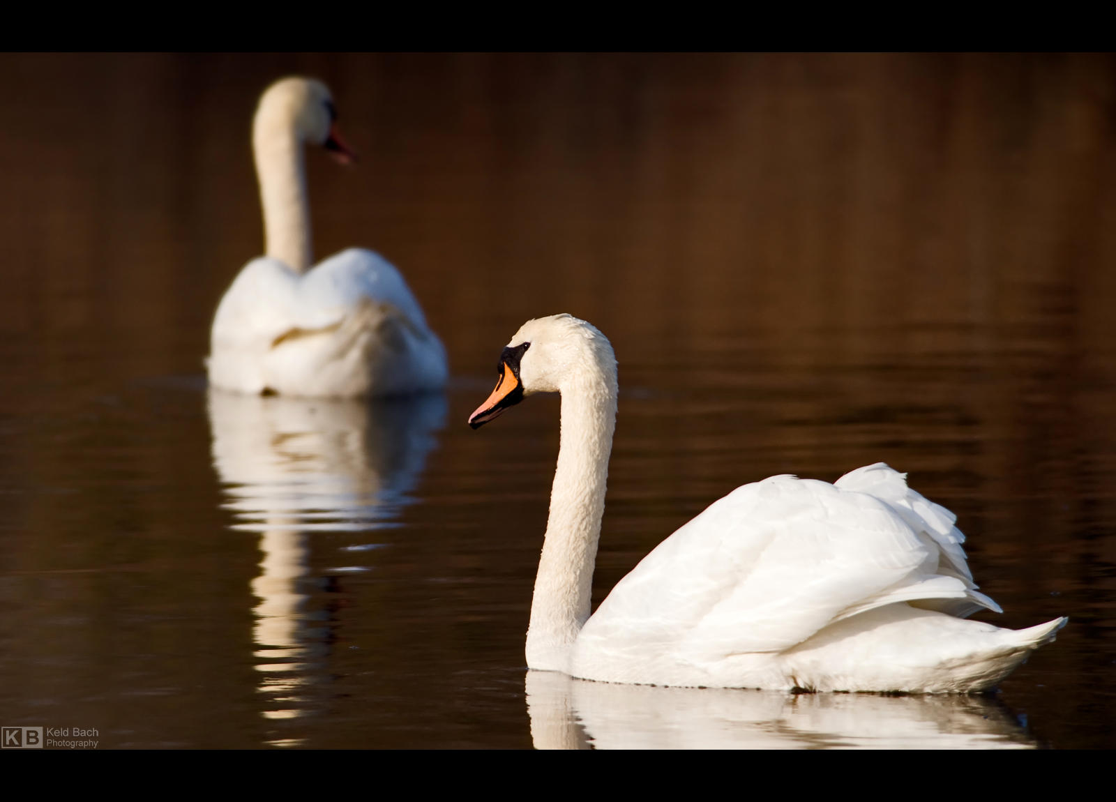 An Upcoming Romance? by KeldBach