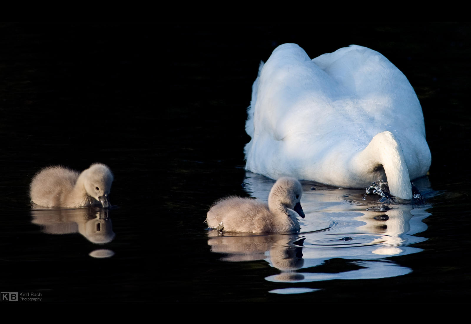 Just Do Like Mommy by KeldBach