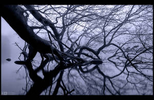 Intricate by KeldBach