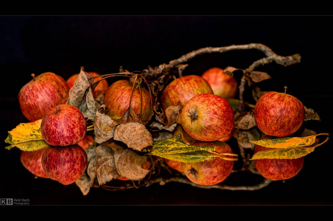 Coming of Age with Grace by KeldBach