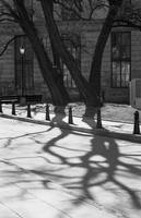 game of the sun by june-june