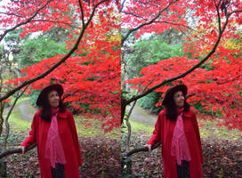 Ruby Angel Of The Red Maple In Stereoscopic 3-D by aegiandyad