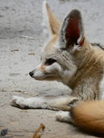 Down With Me by Mouselemur