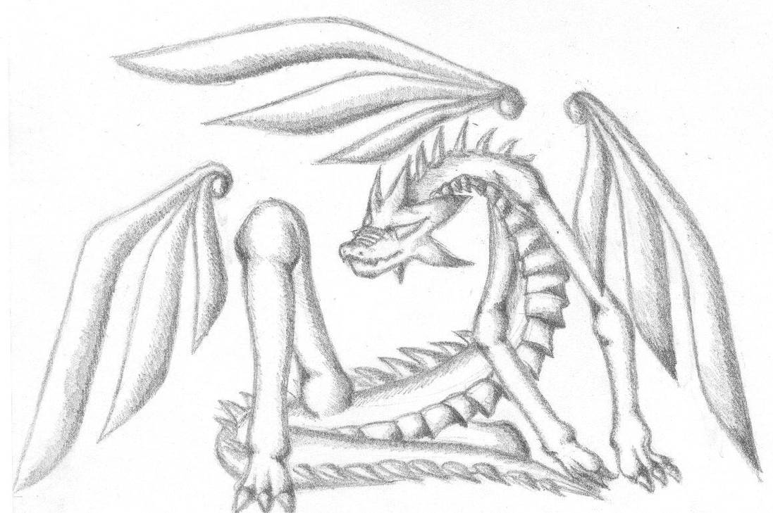  Dragon Pencil Sketch by Shahtrughna on DeviantArt