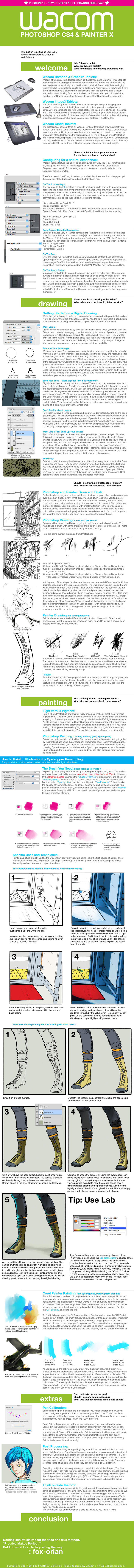 Wacom Photoshop Painter Guide by fox-orian