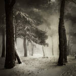 Snow in Porec... by Kaarmen