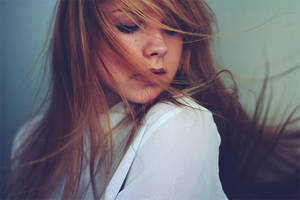 wild at heart by paulisa