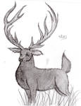 Stag by AshMargon