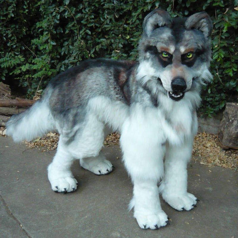 Quadsuit wolf fursuit by LilleahWest