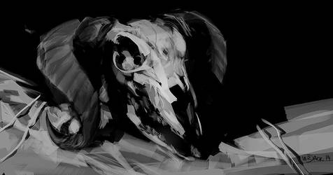 Skulll by Mr--Jack