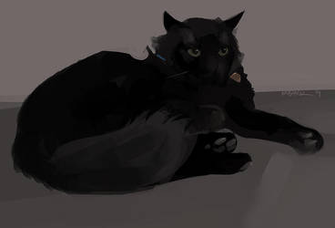 Bagheera by Mr--Jack