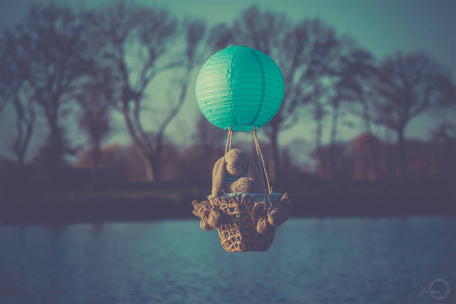 Fly With Me