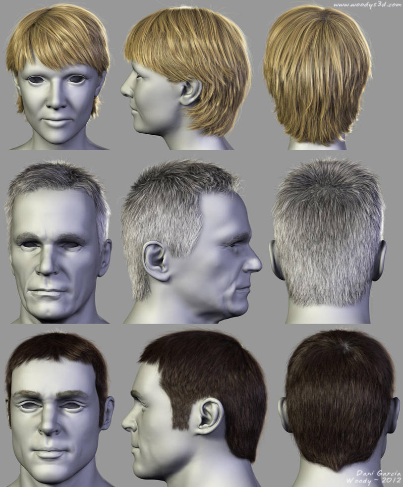 2012 Hairstyles 06 by Woodys3d