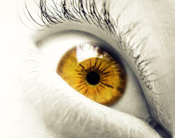 the EYE by NUeGREUsaZAMBESTI