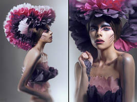 Blossom: Magenta by FlexDreams