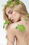 Germination by FlexDreams