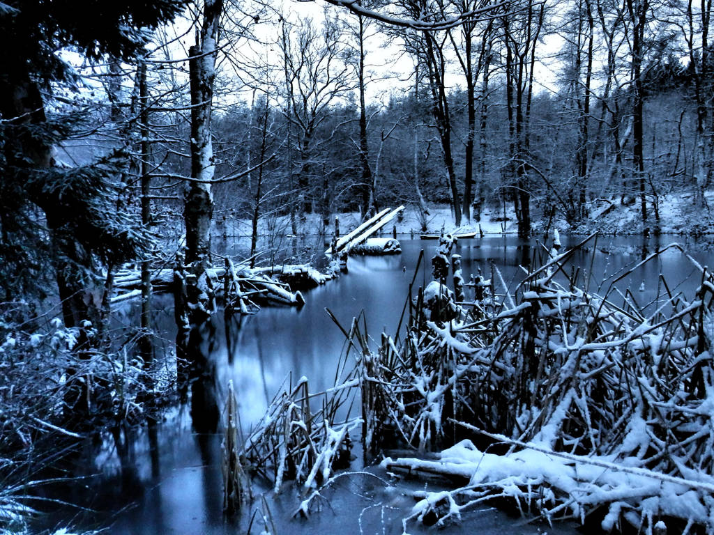 cold_water_2_by_skalle_art_d8bo71c-fullv