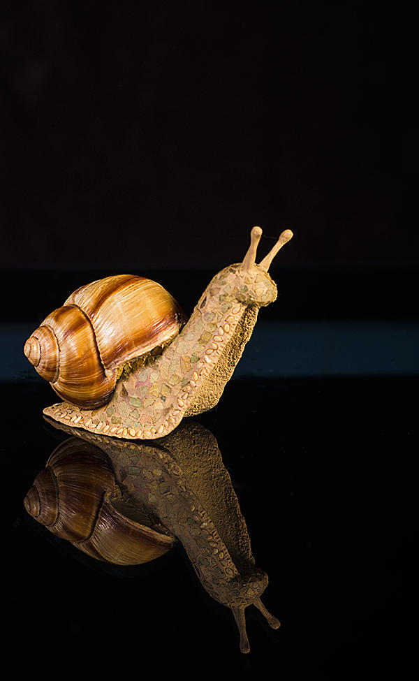 Escargot on the Go - Tall One by Battledress