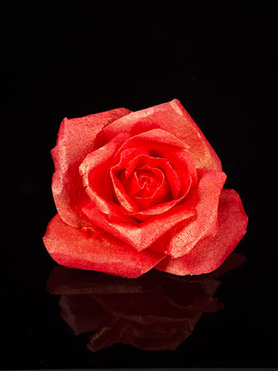 Wafer Paper Rose - Red Gold by Battledress
