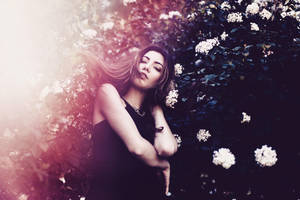 gradient by zerofiction