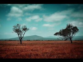 Spirit by Mo-Photographer