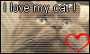 I love my cat Stamp by NatouMJSonic