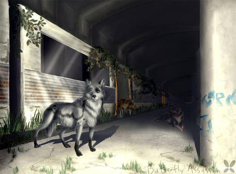 Overtaken by Cerebrobullet-art