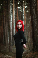 Forest by YulchaNyan