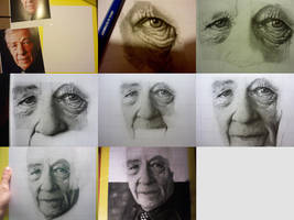 WIP Sir Ian Mckellen by KristofDeSaeger