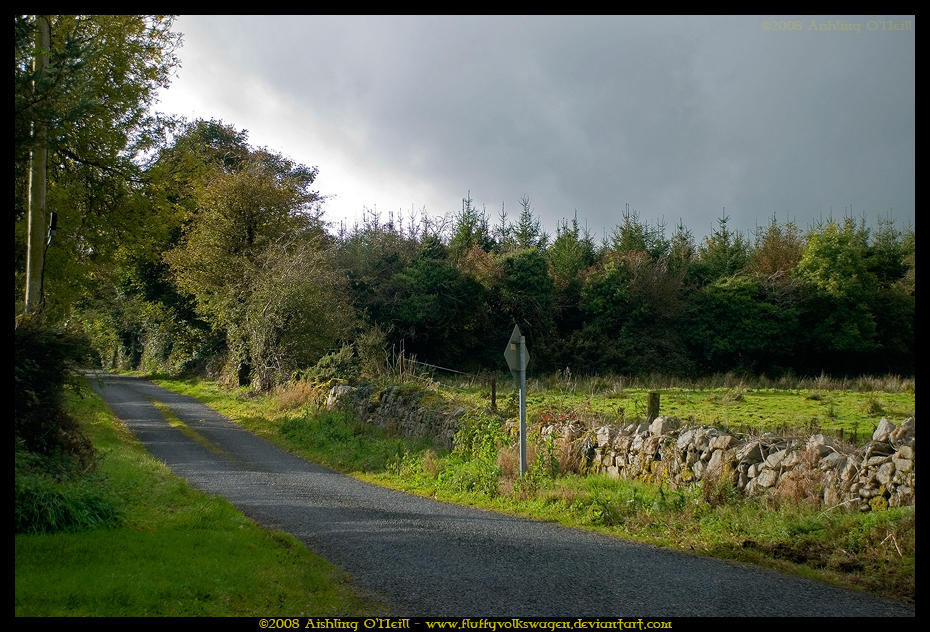 Boreen, Ireland by fluffyvolkswagen