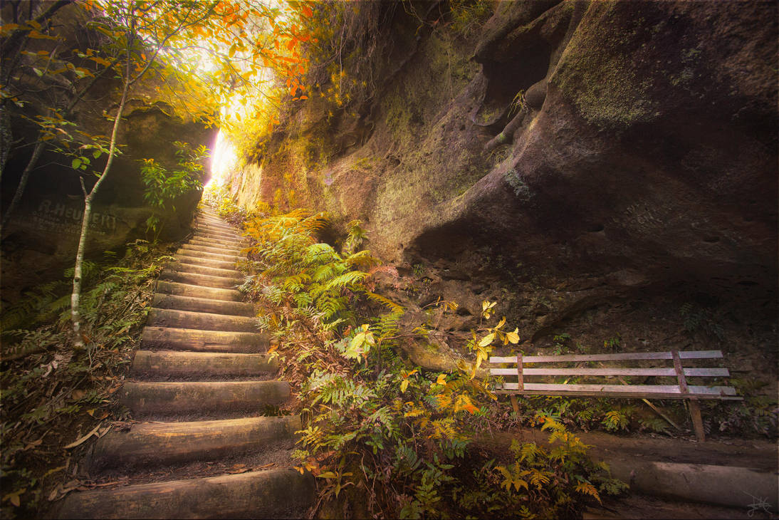 Autumn in the Blue Mountains by SteveCampbell