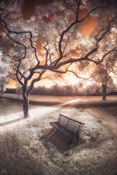 The Final Hours - Infrared by SteveCampbell
